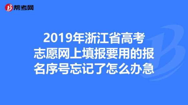 浙江网上高考志愿填报（浙江网上高考志愿填报怎么填）