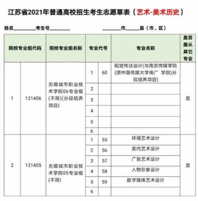 江苏艺考生志愿（江苏艺考生志愿填报实例）