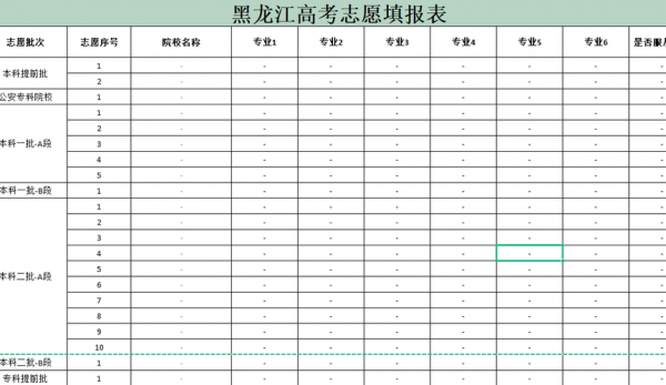 黑龙江省平行志愿表格（新高考平行志愿表格）