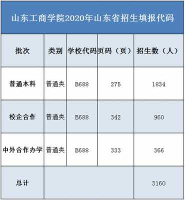 山东工商学院代码志愿（山东工商学院填报志愿代码）