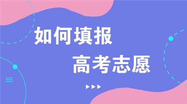 高考怎样选志愿（高考怎样选志愿学校）