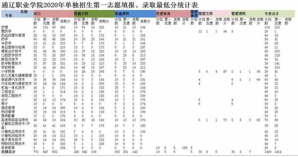 网报志愿阶段性统计表（志愿填报统计）