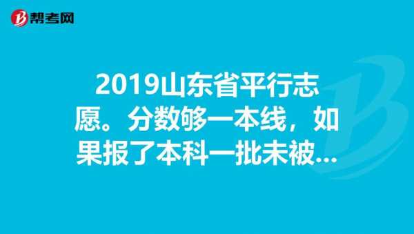 山东省征集志愿出录取结果（山东省征集志愿录取结果什么时候公布）