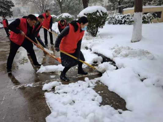 啮雪大志愿（大雪里的志愿者）