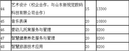 烟台南山学院志愿编号（2021年烟台南山学院代码）