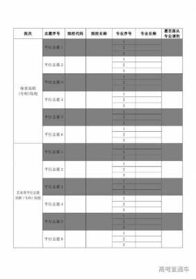 2019贵州艺术平行志愿（贵州艺术类志愿填报）