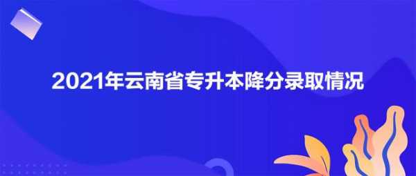 云南2本征集志愿（云南2021二本征集志愿时间）