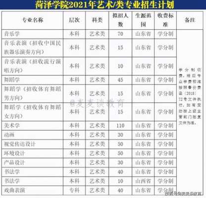 菏泽学院第一志愿（菏泽学院高考志愿代码）