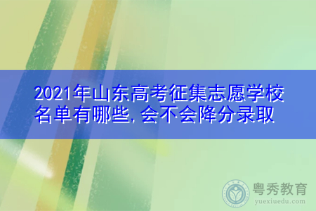 山东208征集志愿院校（山东征集志愿的院校名单）