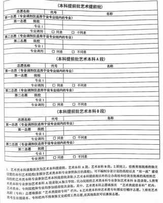 艺考生报志愿格式（艺考报考志愿填写）