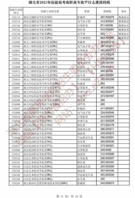 湖北大专志愿录取查询（2021湖北专科志愿）