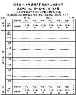 湖北志愿填报表样表（湖北志愿填报表格模拟图）