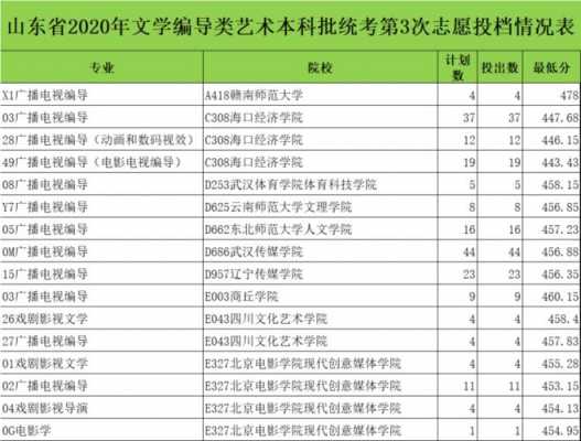 艺术本科统考志愿（艺术类本科批统考专业第一次志愿）