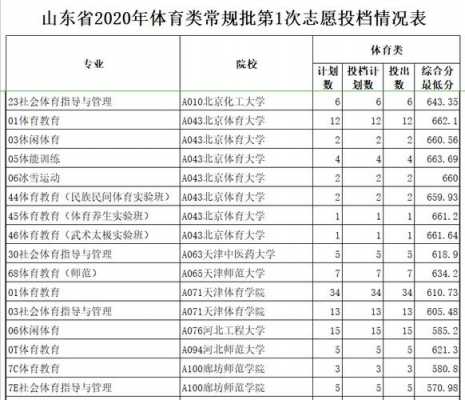 山东体育系填报志愿（山东体育生报考志愿指南）