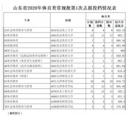 山东体育系填报志愿（山东体育生报考志愿指南）