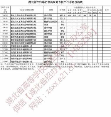 湖北省舞蹈填志愿（湖北省舞蹈生录取方式）