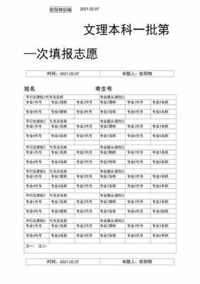 志愿填报卡模拟（志愿填报模拟表格图片）