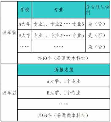 大平行志愿投档专业（大学录取平行志愿怎样投档）