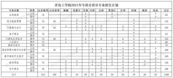 青岛工学院报志愿代码（青岛工学院河南招生代码）