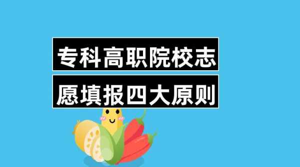 大专不报志愿可以上吗（如果大专志愿都没有报成功,怎么办）