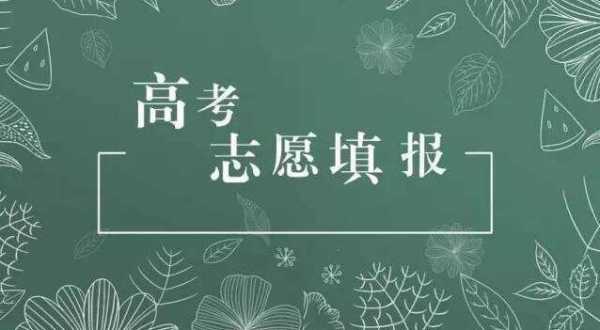 报志愿非定向（什么叫非定向志愿）