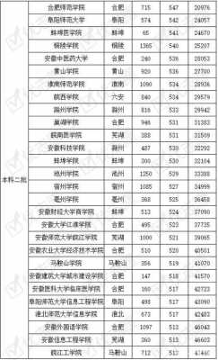 安徽十三万名理科志愿（安徽省理科排名13万的考生大概能报什么学校）