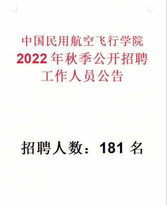 辽宁民航招飞征集志愿（辽宁民航招聘网最新招聘）