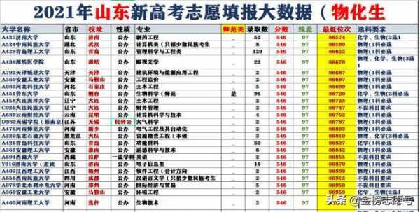 山东报考志愿人数（山东报考志愿人数查询）