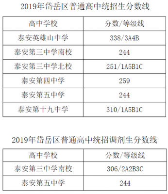 山东泰安中考志愿报名（山东泰安中考志愿报名网站）