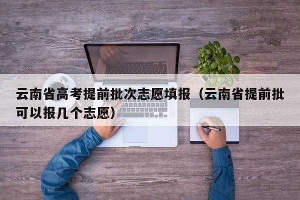 云南考生志愿状态是确认（报考志愿状态）