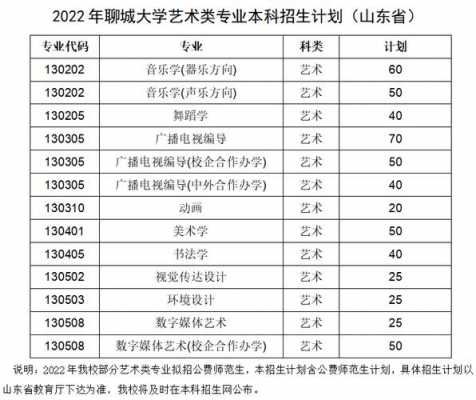 聊城大学高考志愿代码（聊城大学高考录取查询平台）