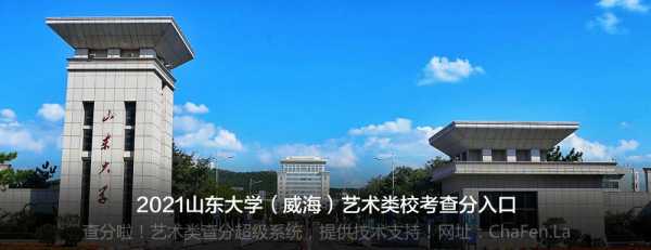 山东大学威海高考志愿（山东大学威海分校高考录取查询）