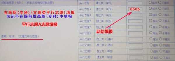 如何填专科志愿（专科生怎样填志愿）
