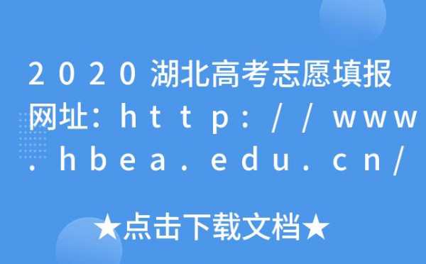 湖北填志愿网址（湖北填志愿网址高考）