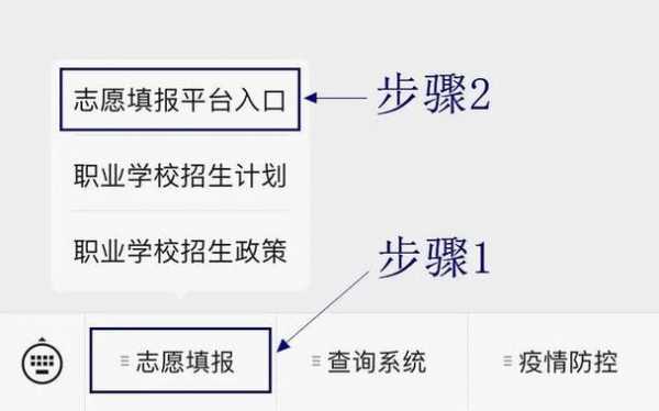 中职征集志愿在哪里报（中职征集志愿在哪里报名）