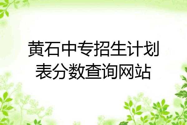 黄石中考志愿填（黄石中考志愿填报网站入口）