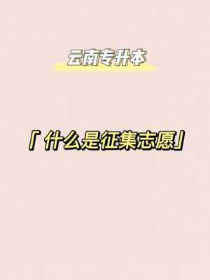 怎么操作征集志愿（怎么操作征集志愿者活动）