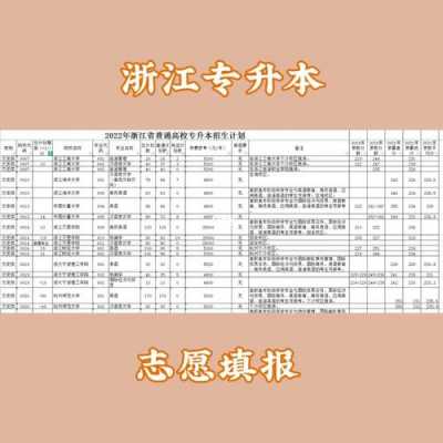 2017浙江第三批填志愿（浙江省第三批志愿什么时候填）