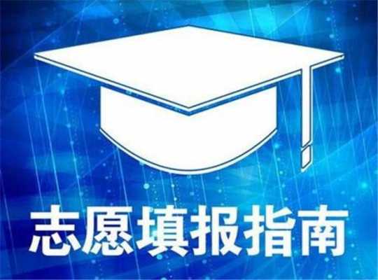 直接报志愿可以吗（报志愿可以自己报吗）