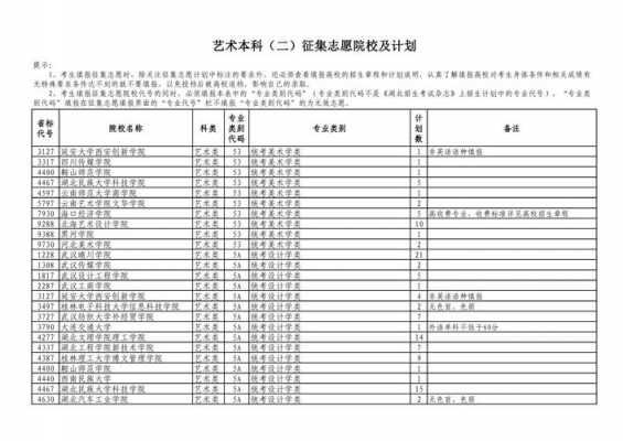 艺术本科征集志愿结束（艺术类征集志愿什么时候出结果）