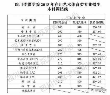 四川传媒大学志愿表（四川传媒学院招生简章2019）