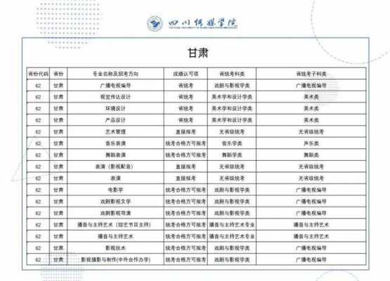 四川传媒大学志愿表（四川传媒学院招生简章2019）