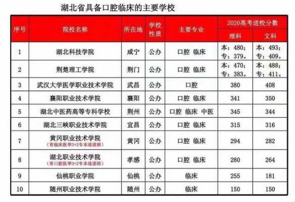 牙科院校报志愿（牙科招生学校）