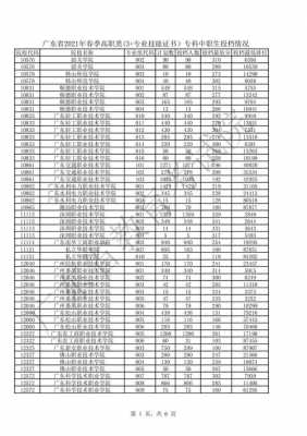 广东专科有平行志愿（2021广东专科志愿是平行志愿吗）