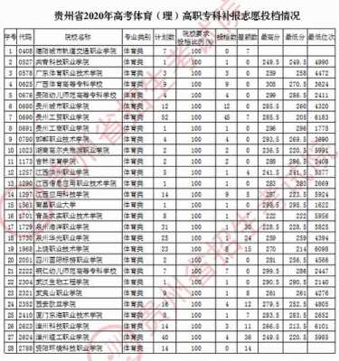 2018贵州艺术高考志愿（2018年美术贵州高考录取位次）