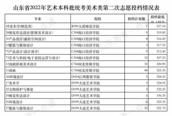 美术类第二志愿怎么填（美术第二批本科可以报哪些学校）