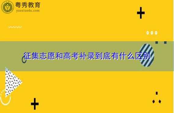 补录志愿在那里看（补录志愿怎么录取）