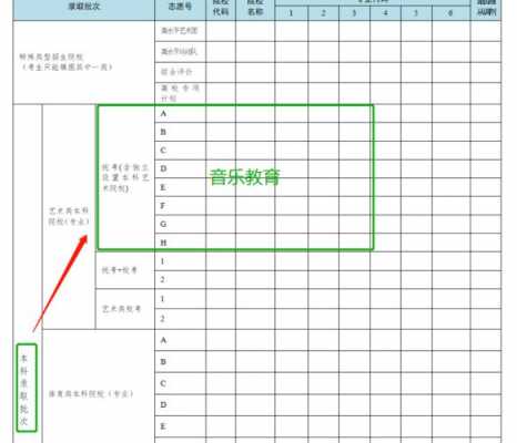 音乐学院志愿怎么填（音乐类志愿怎么填报）