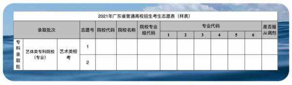 2018广东艺术考生志愿（2020广东艺术类志愿填报）