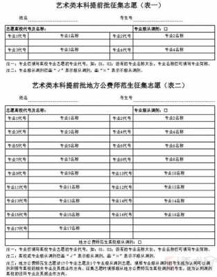 山东美术高考志愿表（山东省美术生志愿如何填）